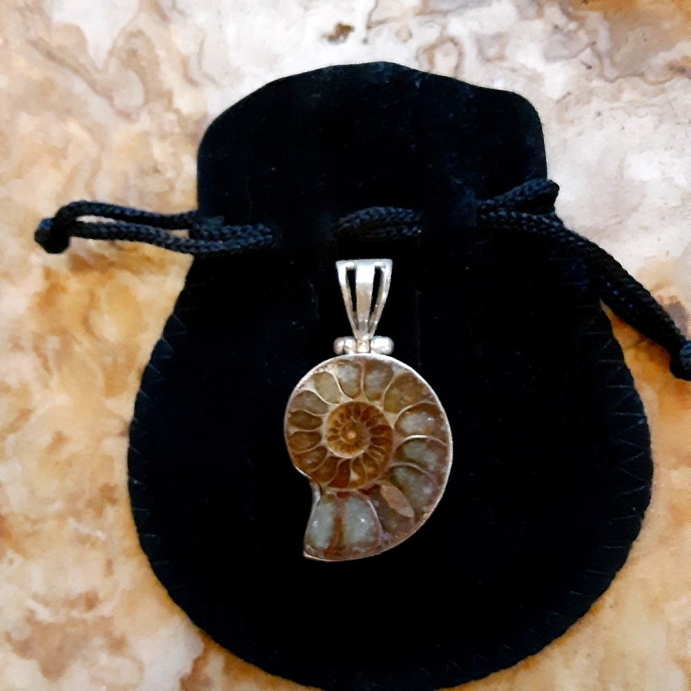 Fossil Nautilus Sterling Pendant